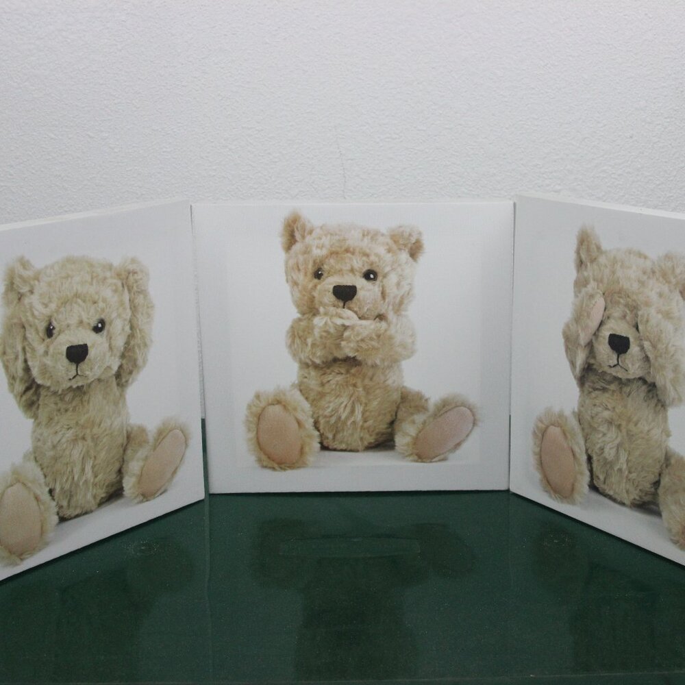 Bear Picture Frames, 8 in by 8 in,